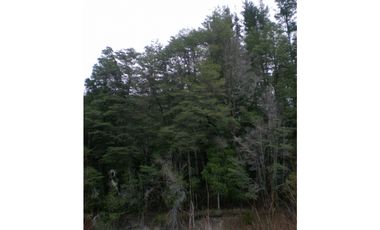 EN VENTA CHACRA DE 6 HA EN EL HOYO, CHUBUT. CH 24