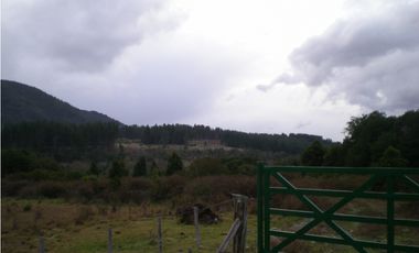 EN VENTA CHACRA DE 6 HA EN EL HOYO, CHUBUT. CH 24