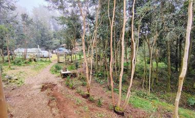 Casa en venta en VALDIVIA