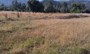 Parcela en Venta en LA MEJOR OPCION DE COMPRA PARCELAS EN LA ARAUCANIA