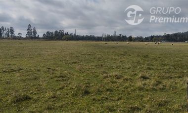 Parcela en Venta en LA MEJOR OPCION DE COMPRA PARCELAS EN LA ARAUCANIA