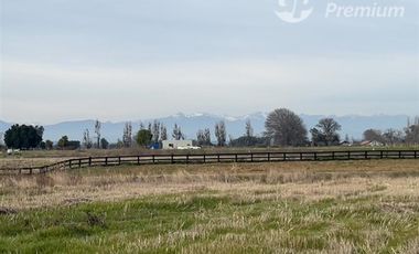 Parcela en Venta en Ruta N-243 San Gregorio, Ñiquén