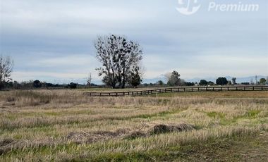 Parcela en Venta en Ruta N-243 San Gregorio, Ñiquén