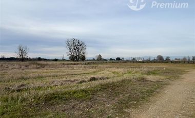 Parcela en Venta en Ruta N-243 San Gregorio, Ñiquén