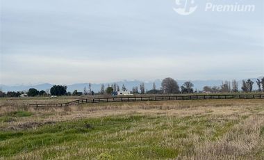 Parcela en Venta en Ruta N-243 San Gregorio, Ñiquén
