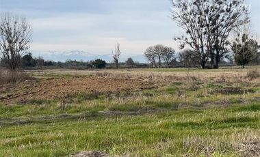 Parcela en Venta en Ruta N-243 San Gregorio, Ñiquén
