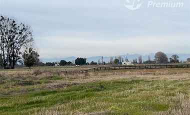 Parcela en Venta en Ruta N-243 San Gregorio, Ñiquén