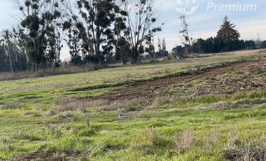 Parcela en Venta en Ruta N-243 San Gregorio, Ñiquén