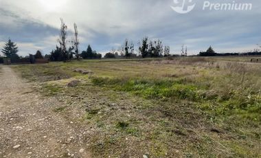 Parcela en Venta en Ruta N-243 San Gregorio, Ñiquén