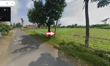 Tanah SHM Pinggir Jalan Sumberjo Kandat Kediri Dijual Murah cepat B.U