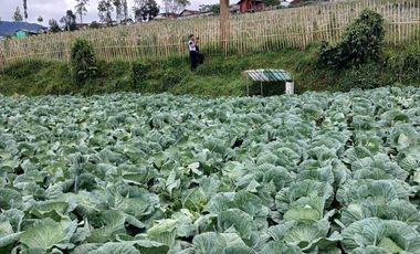 DIJUAL TANAH COCOK UNTUK VILLA