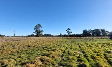 Venta de Parcela en Rancho Lomas Verdes – Puerto Varas