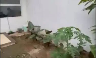 RUMAH SEWA PEJATEN BARAT PASAR MINGGU JAKARTA SELATAN