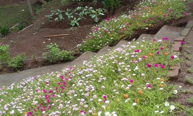 Dijual Villa Cantik Kayu Putih Buleleng Bali