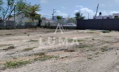 Renta de terreno en Isla del Carmen 2000