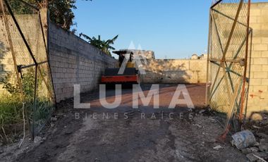 Terreno en renta en colonia Potrero