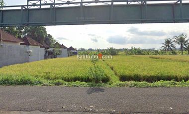 AMS-113.BL-I | Jual Murah Tanah Kavling Perumahan 100m2 di Kediri Tabanan