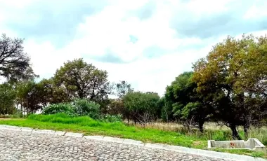 Terreno en venta en Lomas Flor del Bosque, Puebla, Puebla