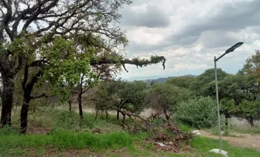 Terreno en venta en Lomas Flor del Bosque, Puebla, Puebla