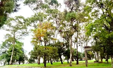 Terreno en venta en Lomas Flor del Bosque, Puebla, Puebla
