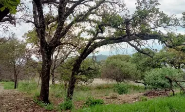 Terreno en venta en Lomas Flor del Bosque, Puebla, Puebla