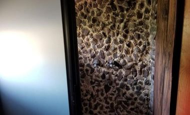 CABAÑA EN VENTA EN ATEMAJAC DE BRIZUELA