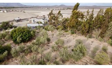 Venta parcela produciendo Canto del Agua Atacama.