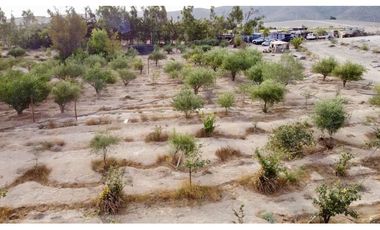 Venta parcela produciendo Canto del Agua Atacama.