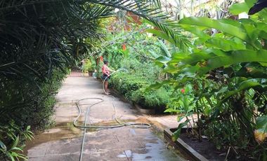 Colonial Residence for Sale in Mérida&#8217;s Historic Center: Spacious Land and Commercial Potential RHM-002
