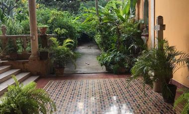 Colonial Residence for Sale in Mérida&#8217;s Historic Center: Spacious Land and Commercial Potential RHM-002