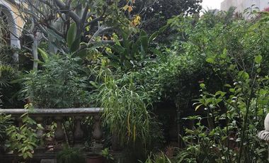 Colonial Residence for Sale in Mérida&#8217;s Historic Center: Spacious Land and Commercial Potential RHM-002