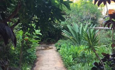 Colonial Residence for Sale in Mérida&#8217;s Historic Center: Spacious Land and Commercial Potential RHM-002