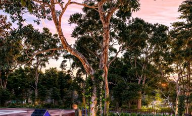 Premium Residential Lots in Northern Mérida with Exceptional Amenities LTM-004