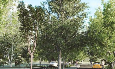 Premium Residential Lots in Northern Mérida with Exceptional Amenities LTM-004