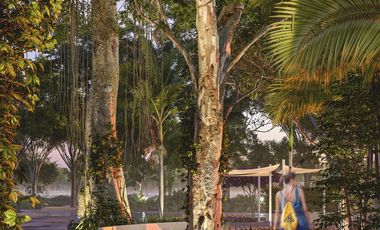 Premium Residential Lots in Northern Mérida with Exceptional Amenities LTM-004