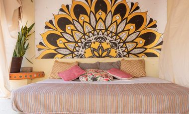 Exclusive Property in the Heart of Playa del Carmen: Two Apartments RS-029