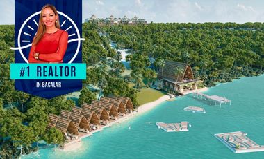 High luxury development, 100% ecological BC-002