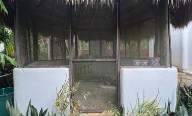 Villa with  two studios RS-032