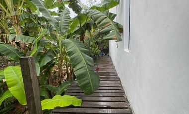 Villa with  two studios RS-032