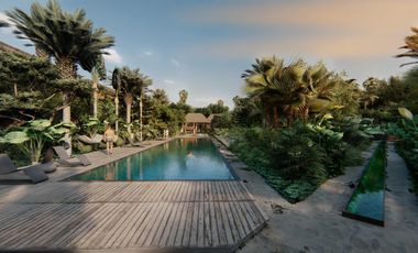 Luxury Living on the Island  CZ-006