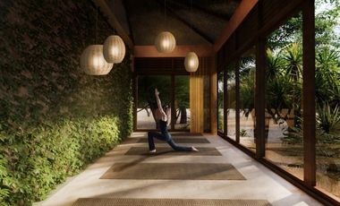 Luxury Living on the Island  CZ-006