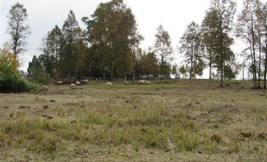 Parcela en Venta en A sólo 15 Minutos de Osorno Ruta U400