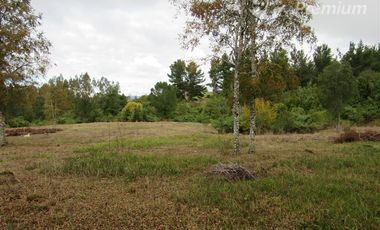 Parcela en Venta en A sólo 15 Minutos de Osorno Ruta U400