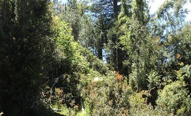 Sitio en Venta en Puyehue