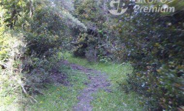 Sitio en Venta en Puyehue