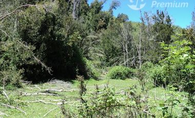 Sitio en Venta en Puyehue
