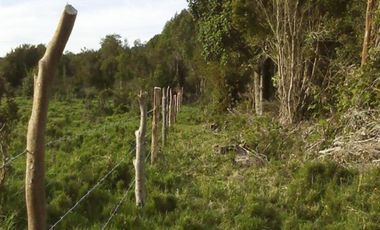 Sitio en Venta en Puyehue