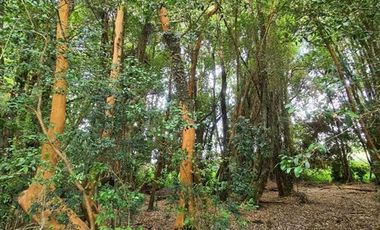 Parcela en Venta en Sector Trolinco, La Unión