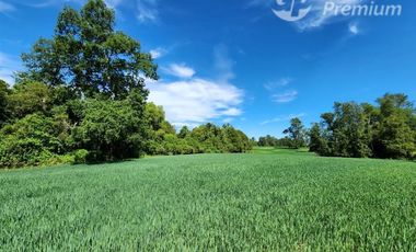 Parcela en Venta en Sector Trolinco, La Unión