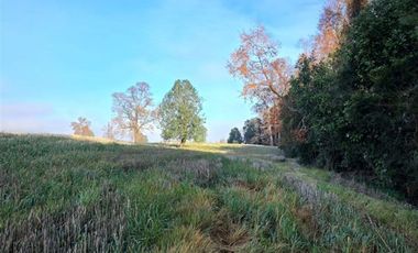 Parcela en Venta en Sector Trolinco, La Unión